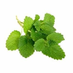 Melisse Bio