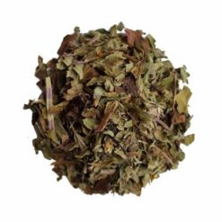 Tisane de menthe poivrée Bio Parenthese Café