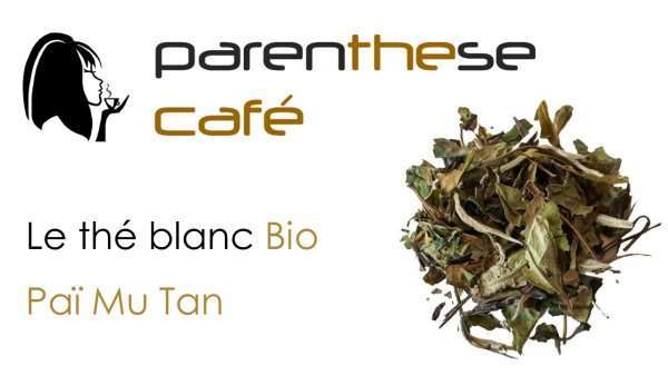 Paï Mu Tan Bio Thé blanc Paï Mu Tan Parenthese Café