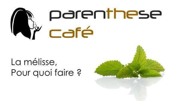 Tisane de mélisse Bio 4 La mélisse - Herboristerie Parenthese Café - Les bienfaits de la melisse Bio