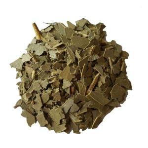 Eucalyptus Bio  Eucalyptus Bio - Ses bienfaits