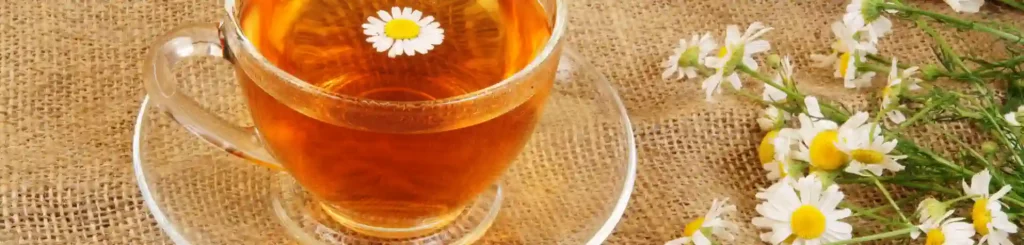 Vente à domicile de thés et infusion