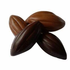 Cabosses chocolat noir et lait - Amande - Sésame