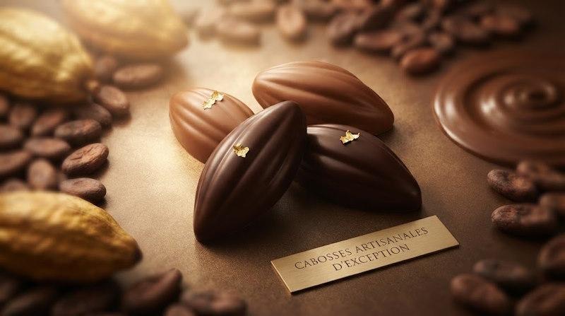 Cabosses de chocolat Noir Lait
