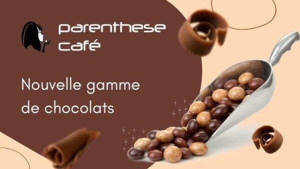 Langues de chat Praliné - Noisette - Des gourmandises chocolatées pour les fêtes