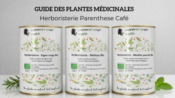 Guide des plantes médicinales - Herboristerie Parenthese Café