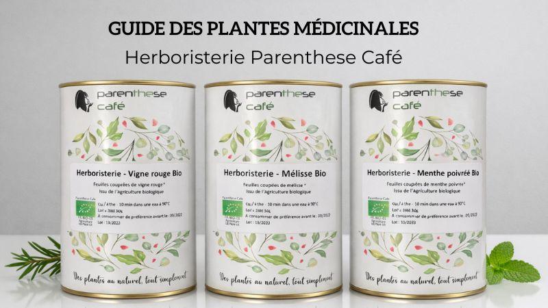 Guide des plantes médicinales - Herboristerie Parenthese Café