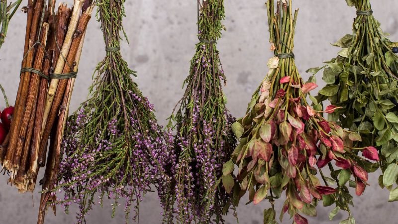Les bienfaits des boissons chaudes 5 L'herboristerie, les boissons chaudes en médecine alternative