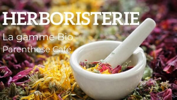 Tisane de cynorrhodon Bio 4 Herboristerie - Toute la gamme des plantes médicinales Bio de Parenthese Café