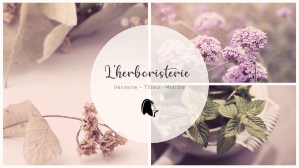 Herboristerie Verveine Tilleul Menthe - Parenthese Café