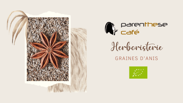 Herboristerie graines d'anis Bio - Parenthese Café