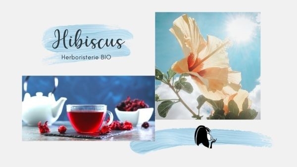 La tisane d'ortie piquante Bio - Marque Parenthese Café