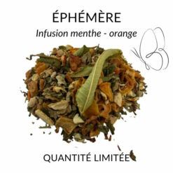 Infusion éphémère Menthe - orange