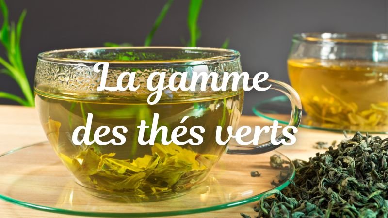 La gamme des thés verts Bio de Parenthese Café