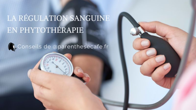 La régulation du sang - Phytothérapie Parenthese Café