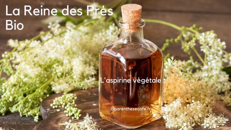 La Reine des Prés Bio comme antidouleur 48 La reine des Prés Bio - Aspirine végétale - Herboristerie Parenthese Café