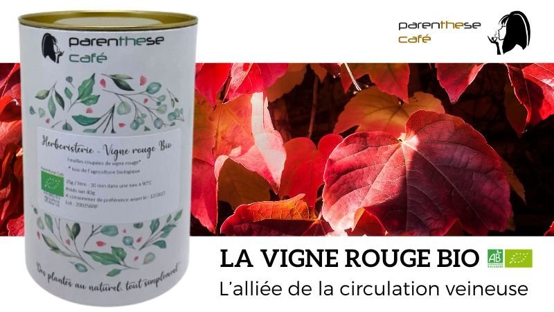 Les bienfaits des feuilles de vigne rouge Bio 1 La vigne rouge bio - Herboristerie et phytothérapie Parenthese Café