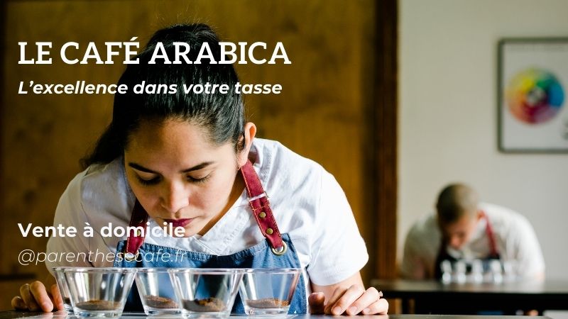 La magie de l'arabica, ce café qui vise l'excellence ! 73 Le café Arabica - Parenthese Café