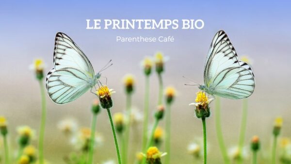 Le printemps Bio de Parenthese Café