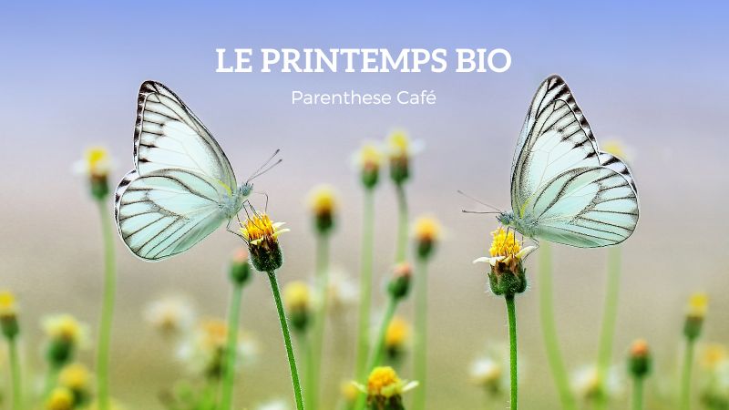 Le printemps Bio Parenthese Café 79 Le printemps Bio de Parenthese Café