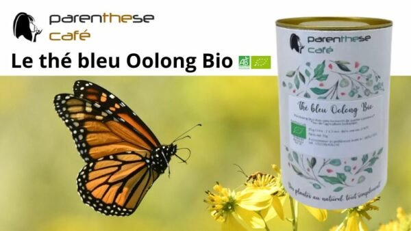 Le thé bleu Oolong Bio de Parenthese Café