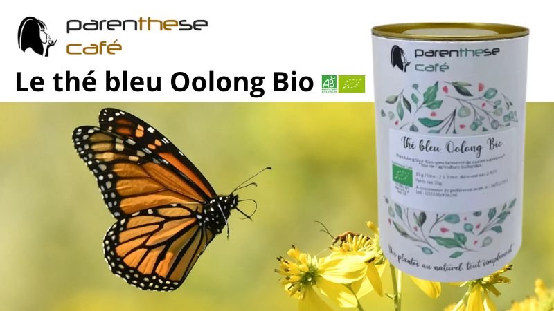 Le thé bleu Oolong Bio de Parenthese Café