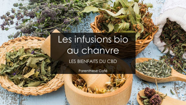 Les infusions au chanvre et les bienfaits du CBD 1 Les bienfaits du CBD - Infusions au chanvre Parenthese Café