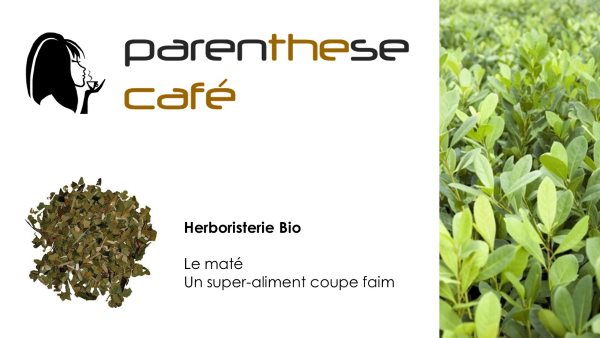 Le maté vert Parenthese Café - Herboristerie Bio Mate Bio - Maté vert - Herboristerie Bio Parenthese Café
