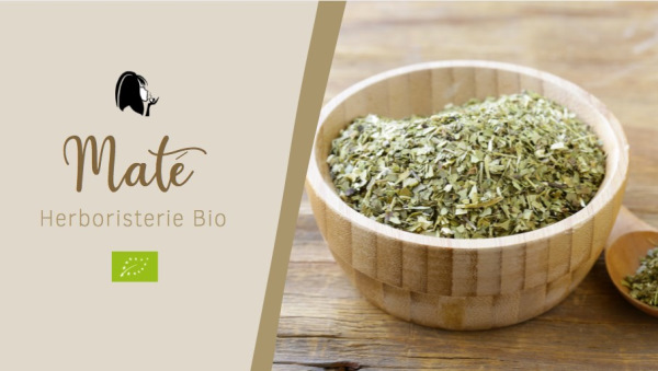 Maté Vert Bio - Parenthese Café