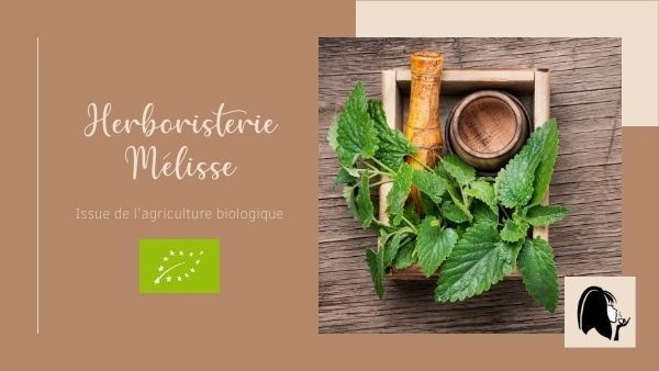 La mélisse, pour quoi faire ? 51 Mélisse Bio - Melisse - Herboristerie Parenthese Café