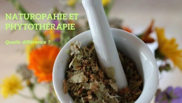Naturopathie et Phytothérapie, quelle différence ?