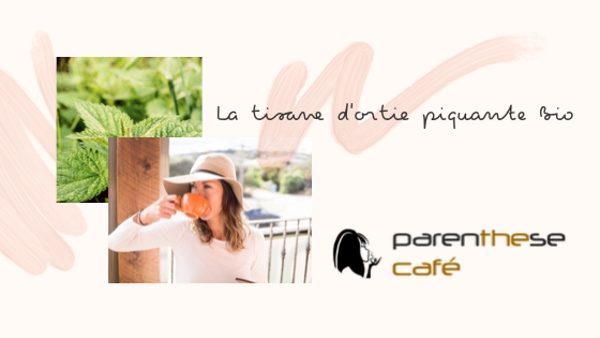 Tisane d'ortie piquante Bio 4 Ortie piquante - Herboristerie Bio Parenthese Café