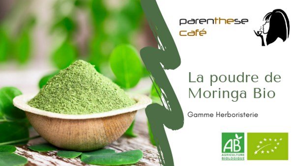 Poudre de Moringa Bio Parenthese Café