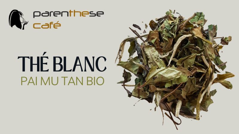 Thé blanc Pai Mu Tan Bio - Parenthese Café
