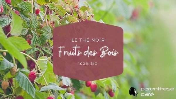 La nature dans le thé noir Fruits des Bois Bio 1 Thé noir Fruits des Bois Bio - Une saveur de fruits exquise -Parenthese Café