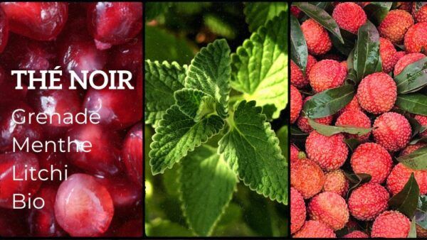 Thé noir Grenade Menthe Litchi Bio - Parenthese Café