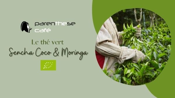 Thé vert Sencha Coco & Moringa - Parenthese Café