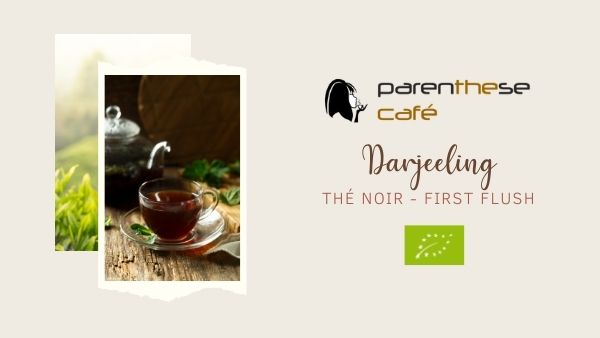Thé noir darjeeling first flush Bio - Parenthese Café