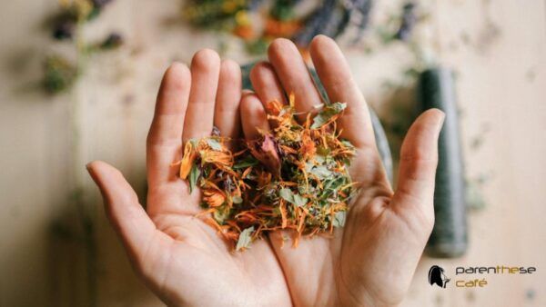 VDI Bio Parenthese Café